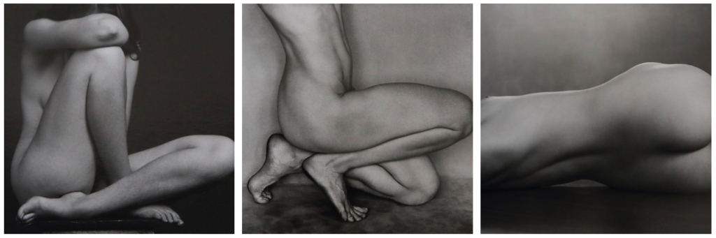 Fine Art Nudes; Esplorare Forma Umana in Foto Artistica; Fotografia Fine Art Nudes; Sottigliezze nella Fotografia Artistica