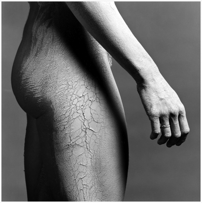 Fine Art Nudes; Esplorare Forma Umana in Foto Artistica; Fotografia Fine Art Nudes; Sottigliezze nella Fotografia Artistica